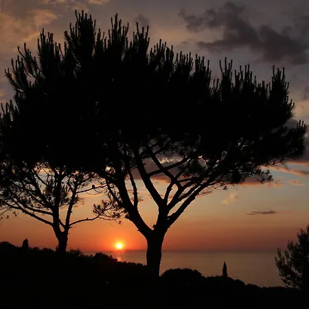 Belvedere Residenza Mediterranea